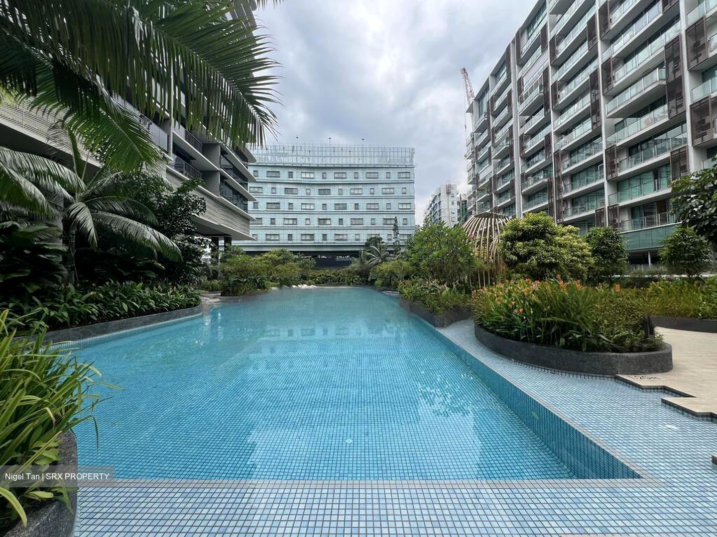One-north Eden (D5), Apartment #480012631